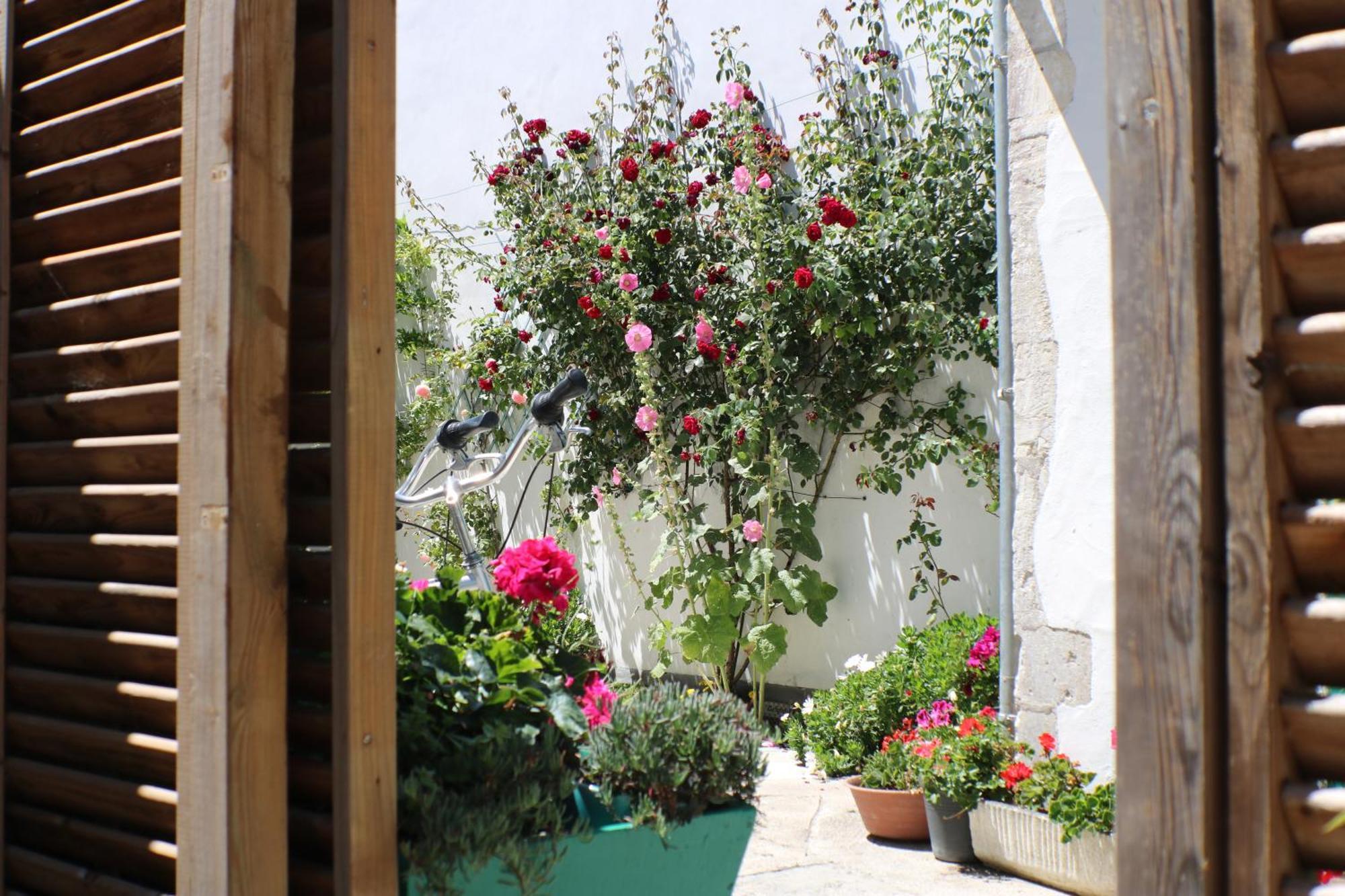 Appartement Beau T3 *** pour 2 à 4 pers avec patio privatif à La Couarde-sur-Mer Extérieur photo