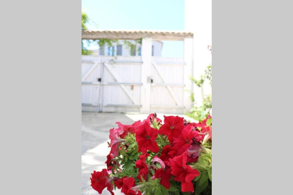 Appartement Beau T3 *** pour 2 à 4 pers avec patio privatif à La Couarde-sur-Mer Extérieur photo